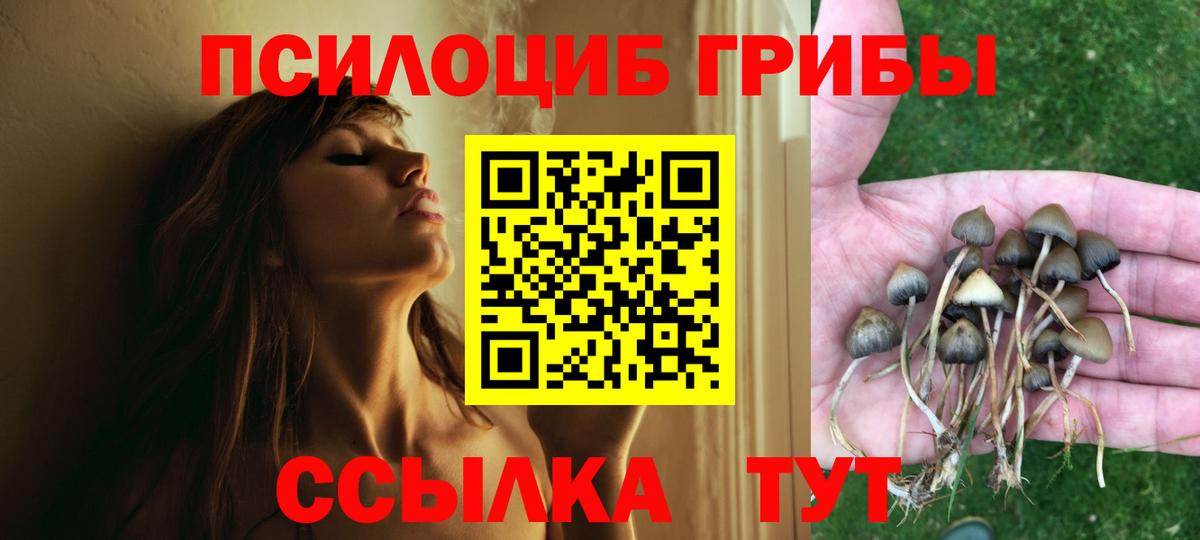 Галлюциногенные грибы MAGIC MUSHROOMS  Вход с VPN  Хабаровск  Псилоцибиновые грибы Magic Shrooms 